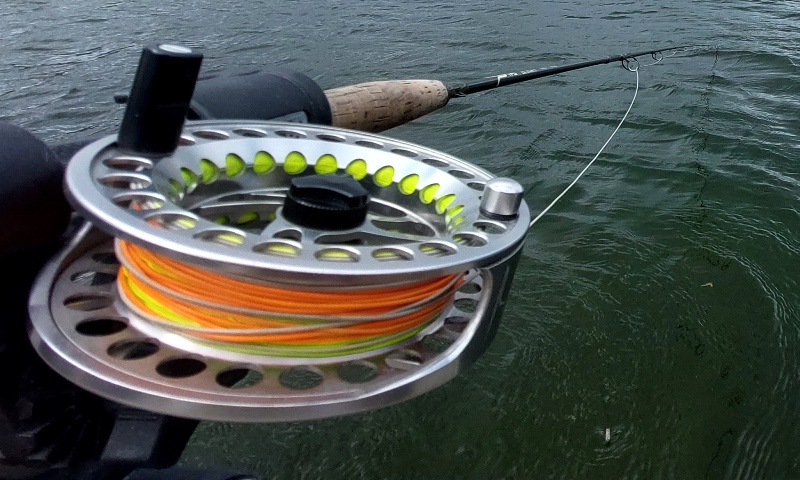 Fly Fishing Lines